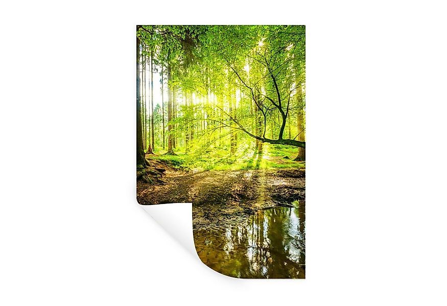 MuchoWow Wandsticker Wald - Landschaft - Wasser - Bäume - Sonne - Grün - Na günstig online kaufen