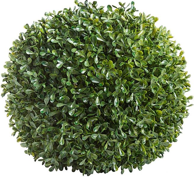 Kunstbaum Buchskugel Buchs, Botanic-Haus, Höhe 28 günstig online kaufen