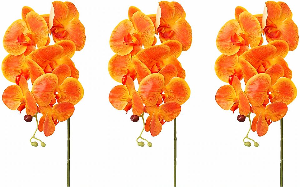 Creativ green Kunstorchidee "Orchidee Phalaenopsis", mit real-touch-Blüten günstig online kaufen