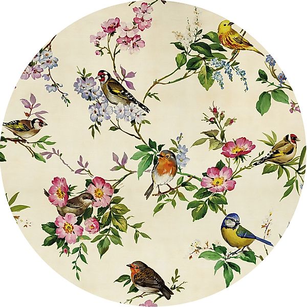 Komar Vliesfototapete Dot Bird Party selbstklebend Ø 125 cm günstig online kaufen