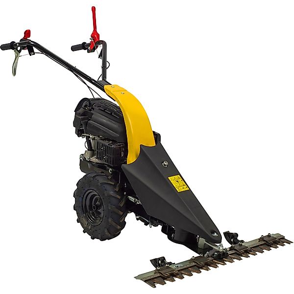 Texas Benzin-Balkenmäher CB8700 günstig online kaufen