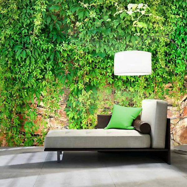 artgeist Fototapete Green Shield mehrfarbig Gr. 300 x 210 günstig online kaufen