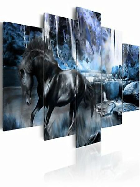 artgeist Wandbild Schwarzes Pferd im bläulichen Schimmer mehrfarbig Gr. 200 günstig online kaufen