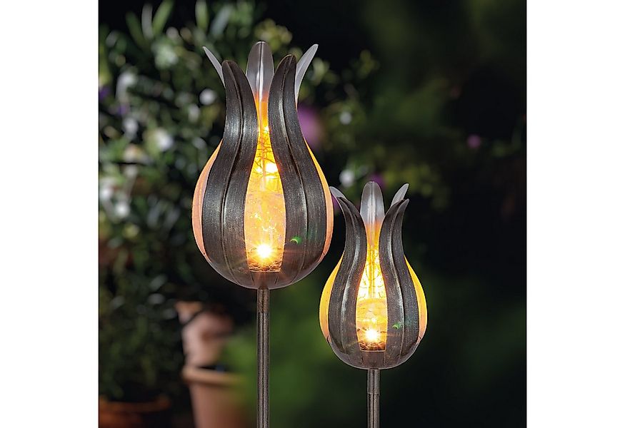 esotec LED Gartenleuchte 2x Blumen Solarleuchte Lilie silber H120+110cm 180 günstig online kaufen