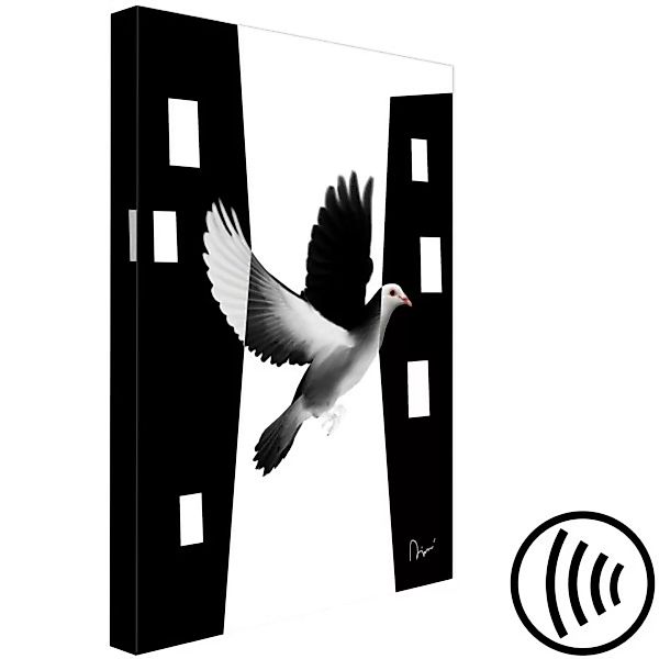 Wandbild Stadt-Taube - ein Vogel, der mit der Stadt verschmilzt in SW XXL günstig online kaufen