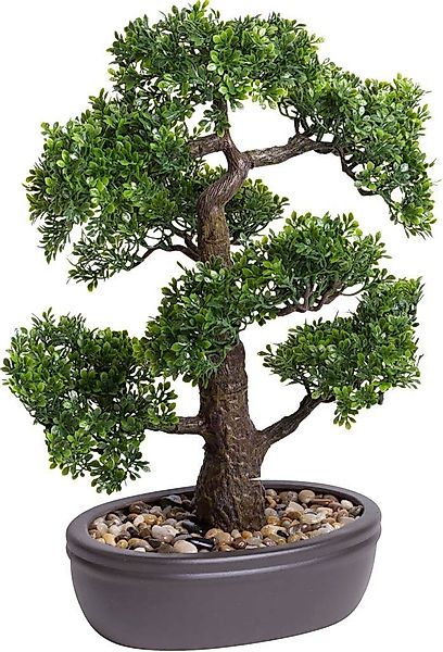 Kunstbonsai Ficus Bonsai Ficus, Botanic-Haus, Höhe günstig online kaufen
