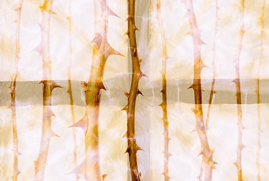 Architects Paper Fototapete »Atelier 47 Thorn Art 2« floral glatt Vlies, Wa günstig online kaufen