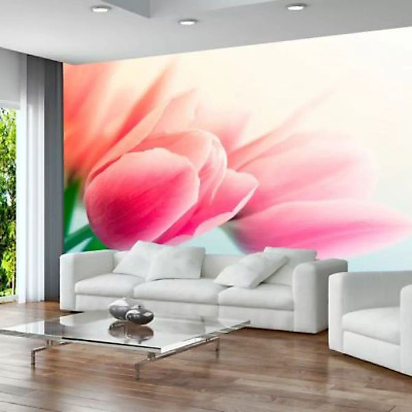 artgeist Fototapete Frühling und Tulpen mehrfarbig Gr. 200 x 154 günstig online kaufen