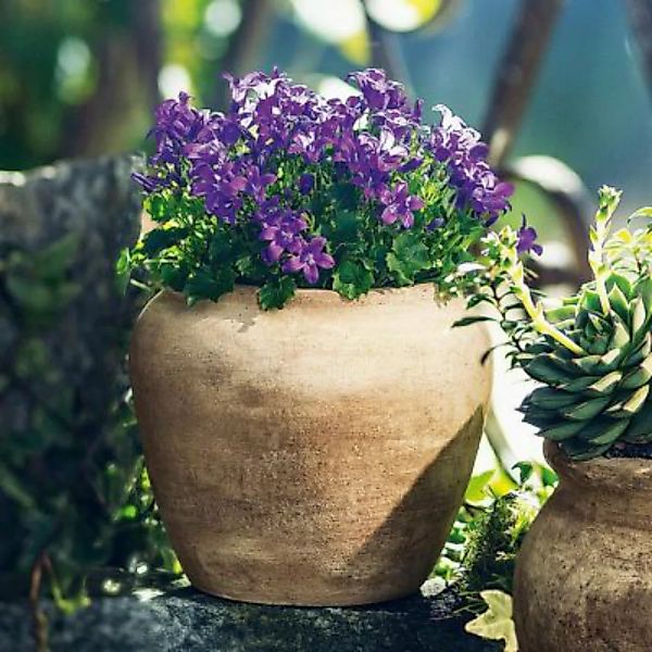 HOME Living Pflanztopf Terra Blumentöpfe natur günstig online kaufen