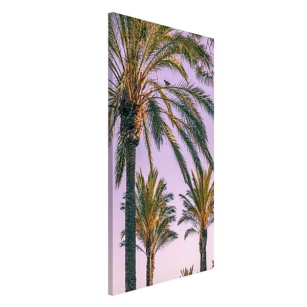 Magnettafel Natur & Landschaft - Hochformat 3:4 Palmen im Sonnenuntergang günstig online kaufen
