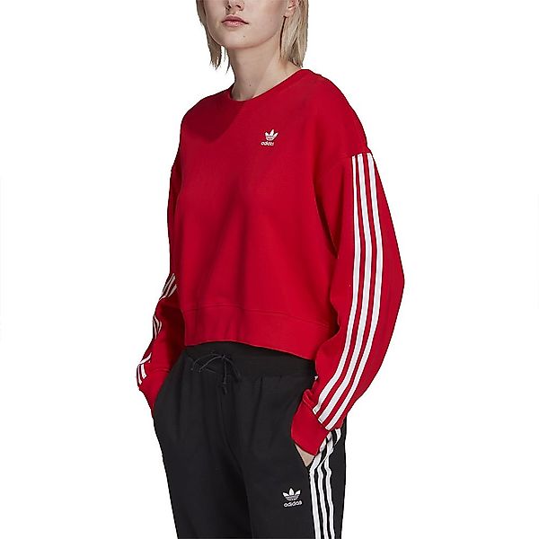Adidas Originals Adicolor Pullover 38 Vivid Red günstig online kaufen