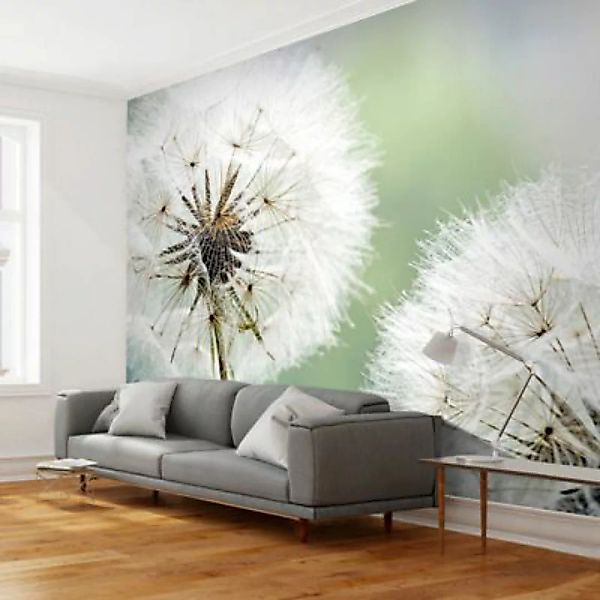 artgeist Fototapete Zwei große Pusteblumen mehrfarbig Gr. 200 x 154 günstig online kaufen