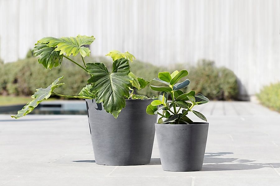 ECOPOTS Blumentopf AMSTERDAM Grey, BxTxH: 30x30x26 günstig online kaufen