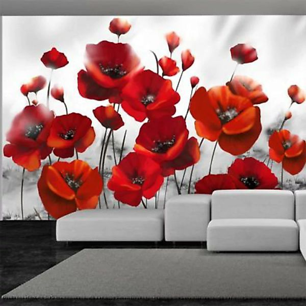 artgeist Fototapete Glowing poppies mehrfarbig Gr. 400 x 280 günstig online kaufen