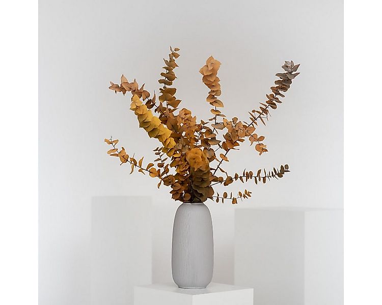 Trockenblume Eukalyptus Stuartiana, LYKKE & You günstig online kaufen