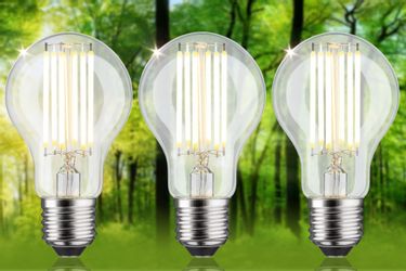 Paulmann LED-Leuchtmittel Eco-Line Filament 230V LED günstig online kaufen