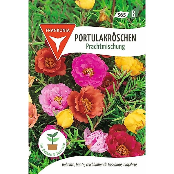 FRANKONIA Portulakröschen Prachtmischung günstig online kaufen