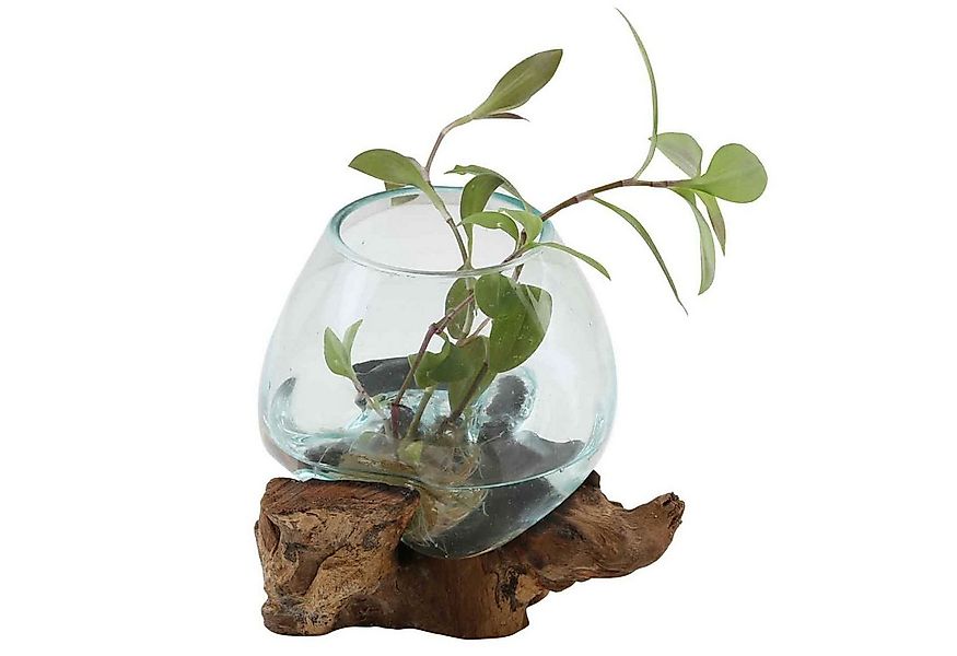 Casa Moro Dekovase Glasvase auf Wurzelholz aus Recycling Glas Ø 15cm & Wurz günstig online kaufen