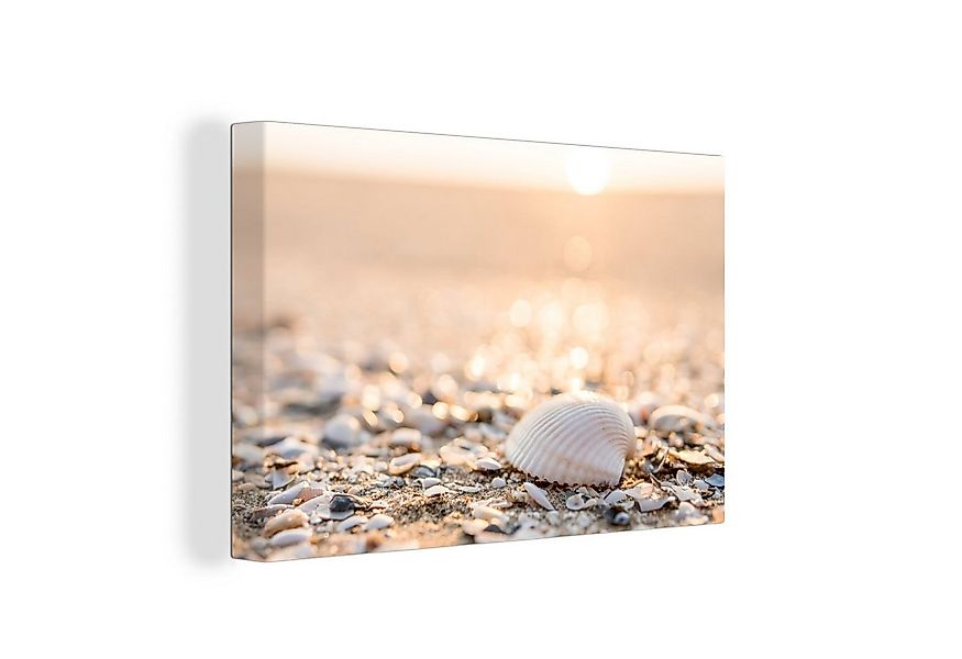 OneMillionCanvasses® Leinwandbild Muscheln - Weiß - Strand - Sommer, Fotodr günstig online kaufen