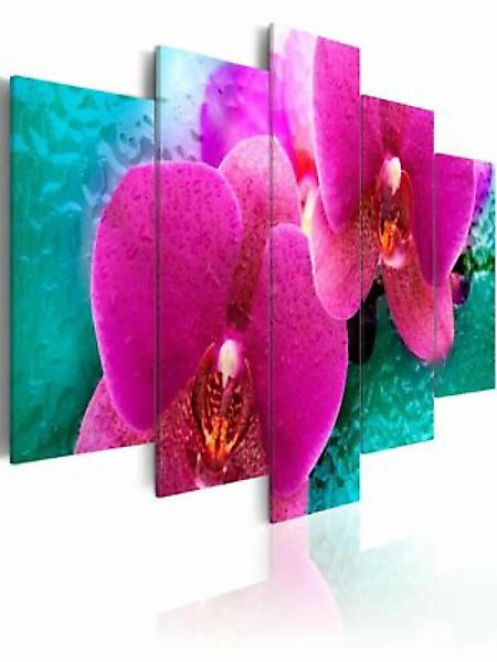 artgeist Wandbild Exotic orchids mehrfarbig Gr. 200 x 100 günstig online kaufen