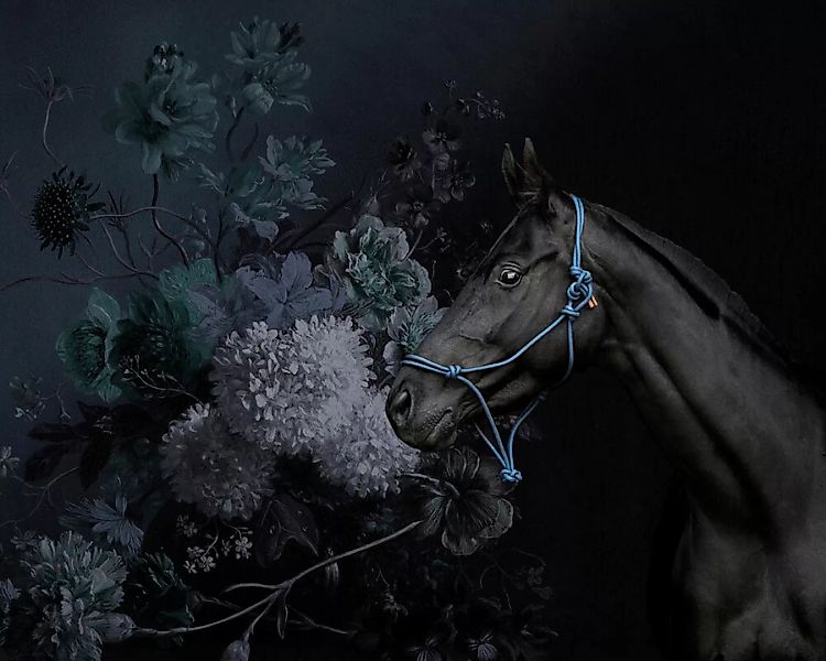 Fototapete "horses 2" 4,00x2,70 m / Strukturvlies Klassik günstig online kaufen