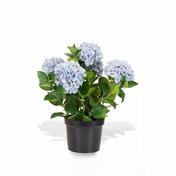 Hortensie - Hydrangea Kunstpflanze, 5 Blüten blau günstig online kaufen