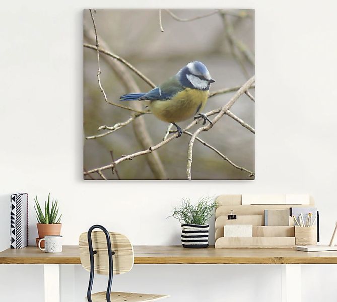 Artland Wandbild »Blaumeise«, Vögel, (1 St.), als Leinwandbild, Wandaufkleb günstig online kaufen