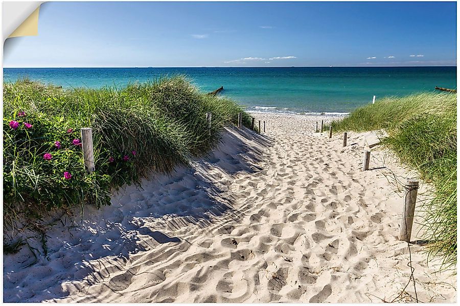 Artland Wandbild Weg zum Strand an günstig online kaufen
