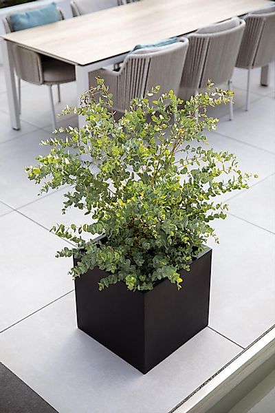 VIVANNO Pflanzkübel Fiberglas BLOCK Würfel - günstig online kaufen
