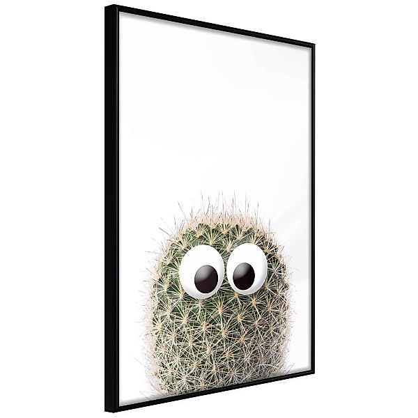 Poster - Funny Cactus Ii günstig online kaufen