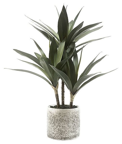 Kunstpflanze KASIAS, Palme, Grün, Beige, Steintopf Palme, casa NOVA, Höhe 4 günstig online kaufen