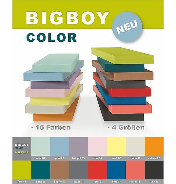 Dolle Regaleinsatz Dolle Regalboden Big Boy 57 x 25 cm, 50 mm, grau günstig online kaufen