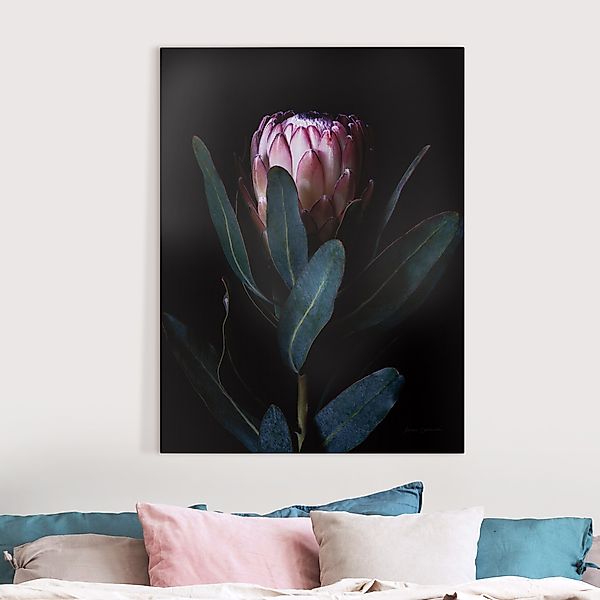 Leinwandbild Protea Portrait günstig online kaufen