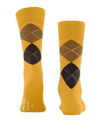 Burlington Socken Stripe (1-Paar) mit hohem günstig online kaufen
