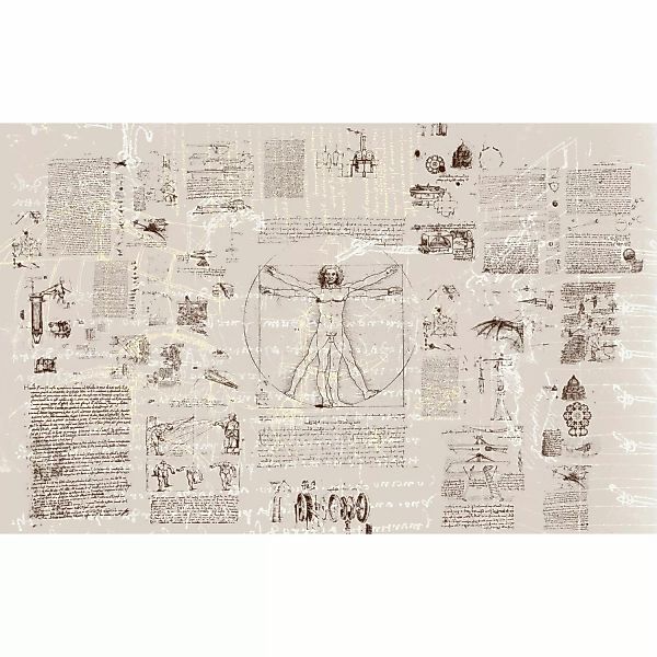 Komar Fototapete Vlies Da Vinci  400 x 250 cm günstig online kaufen