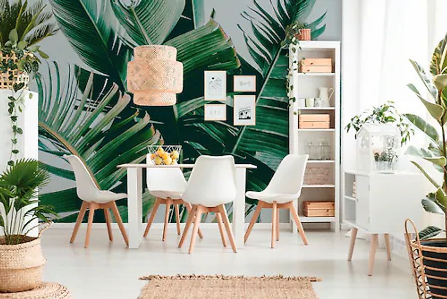 A.S. Création Vliestapete »Tropenfototapete Bananenblätter Grün Weiß« matt günstig online kaufen