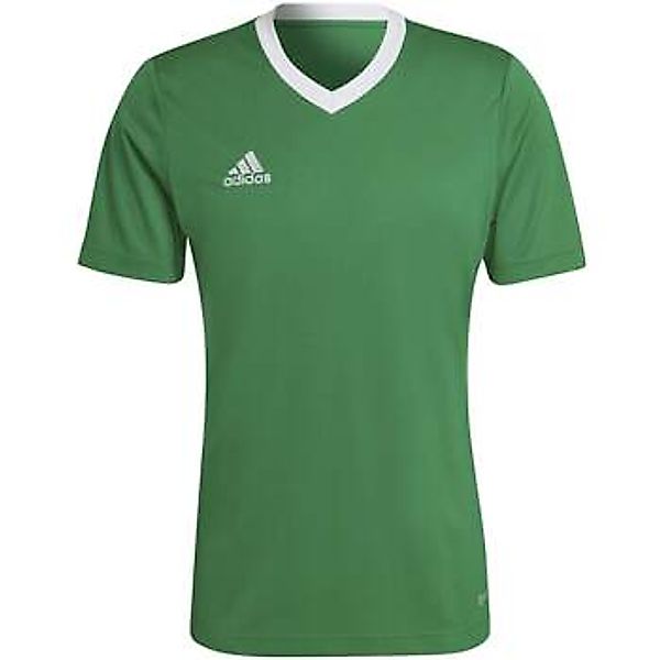 adidas  T-Shirts & Poloshirts T-Shirt Ent22 Jsy Teagrn/W günstig online kaufen