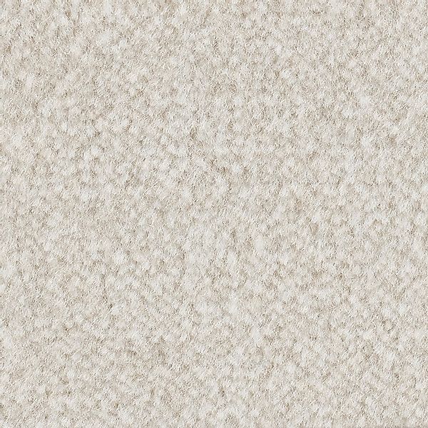 Bodenmeister Teppichboden »Jupiter, Velours - meliert, Made in Belgium«, re günstig online kaufen