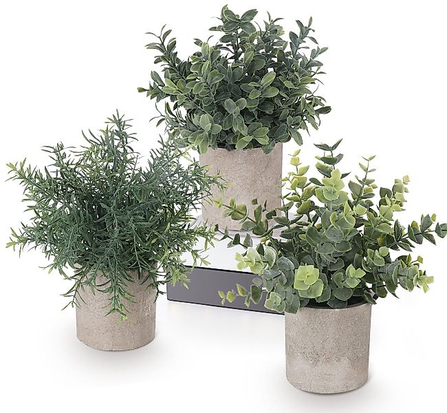 Künstliche Zimmerpflanze 5 Stück Mini Kunstpflanzen mit Töpfen Eukalyptus R günstig online kaufen