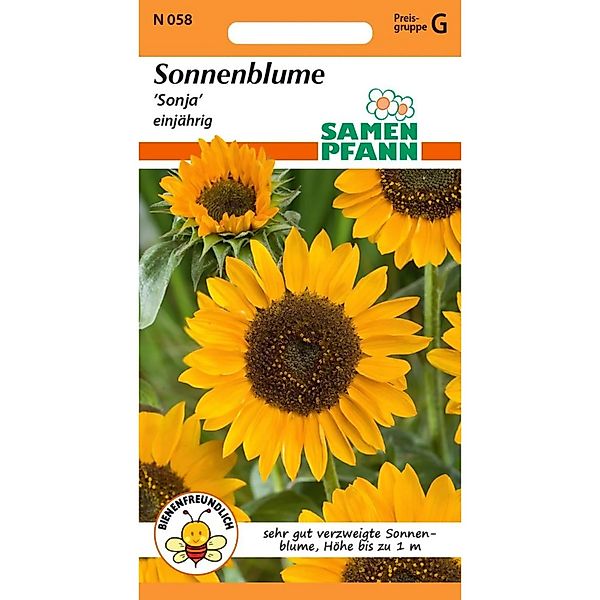SAMEN PFANN Sonnenblume Sonja günstig online kaufen