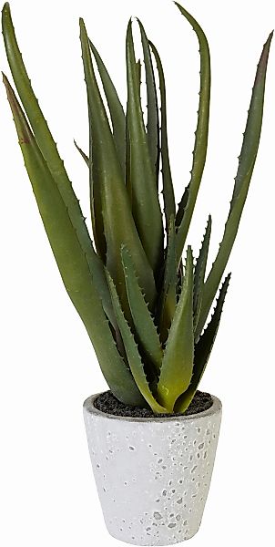 Kunstpflanze Aloe, Creativ green, Höhe 44 günstig online kaufen