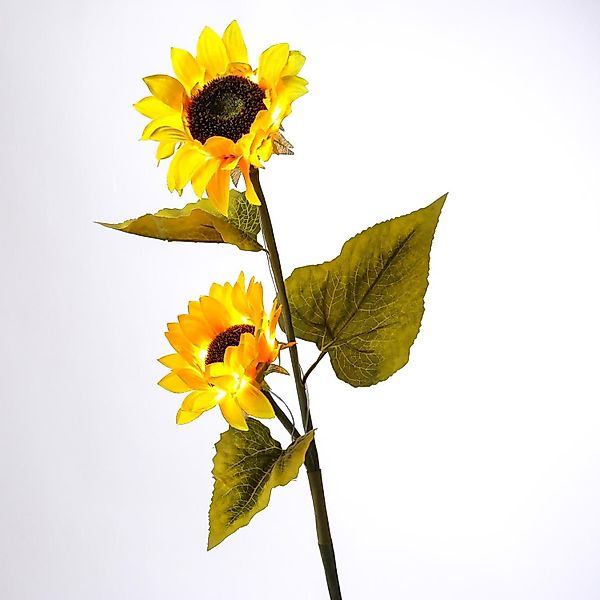 MARELIDA LED Solarleuchte LED Solar Gartenstecker günstig online kaufen