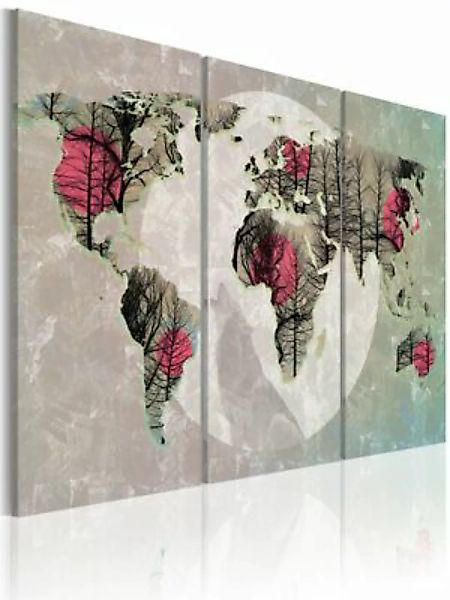 artgeist Wandbild Weltkarte: Vollmond - Triptychon mehrfarbig Gr. 60 x 40 günstig online kaufen