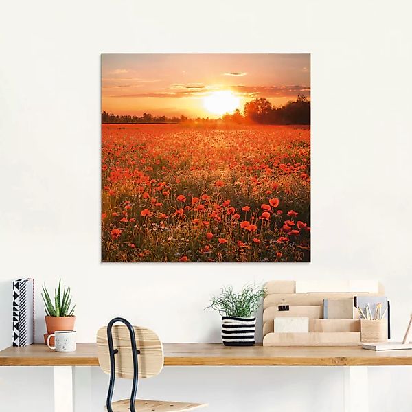 Artland Glasbild "Mohnblumenfeld bei Sonnenuntergang", Blumen, (1 St.), in günstig online kaufen