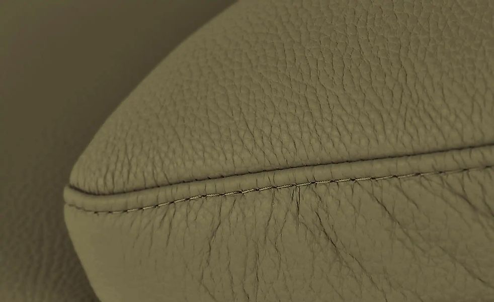 Max Schelling Ledersofa mit Kufengestell Maximum ¦ grün ¦ Maße (cm): B: 224 günstig online kaufen