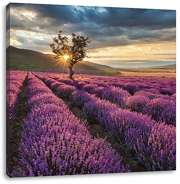 Pixxprint Leinwandbild Lavendel Provence mit Baum, günstig online kaufen