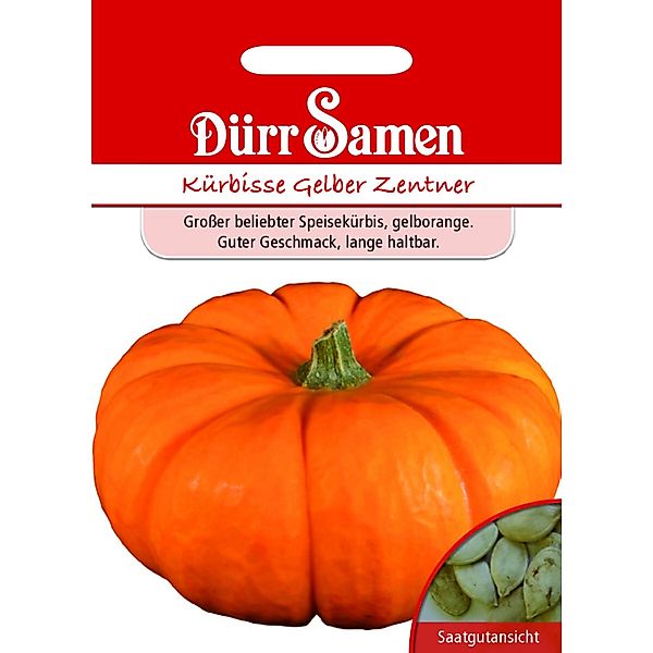 Dürr Samen Kürbis Gelber Zentner Saatgut günstig online kaufen