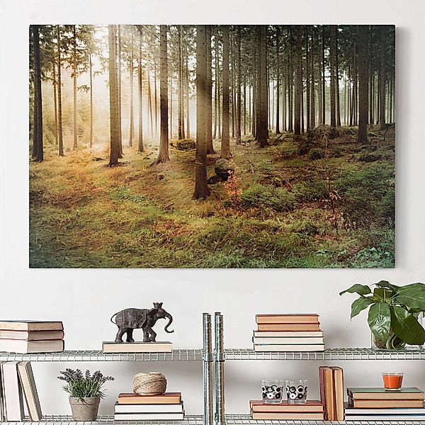 Leinwandbild - Querformat Morning Forest günstig online kaufen