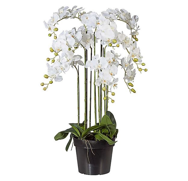 Kunstorchidee Kunstblume Phalaenopsis. Orchidee im Topf, ca. 110cm. Weiß, G günstig online kaufen