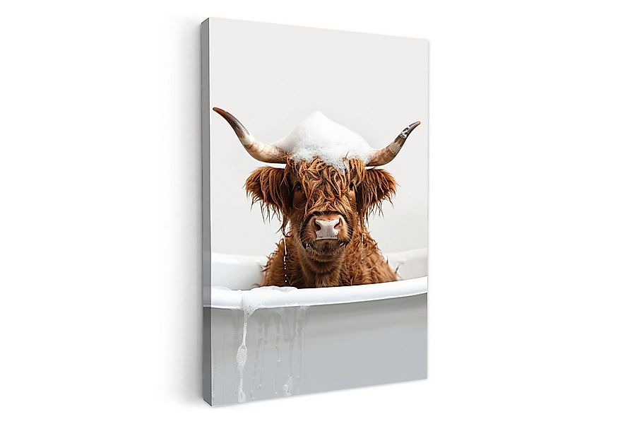 OneMillionCanvasses® Leinwandbild Highlander - Bad - Kuh - Tiere - Schaum, günstig online kaufen